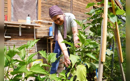 Tepebaşı Belediyesi Gönüllü Bahçelerinde Hasat Sevinci