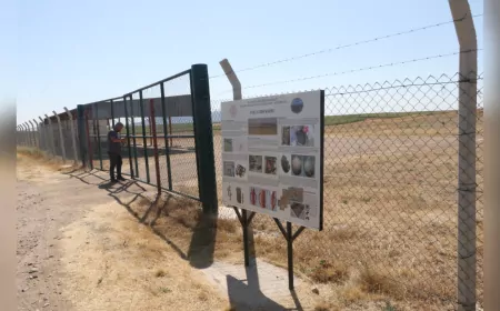 5 Bin Yıllık Ekmek Bulunan Küllüoba Höyüğü Kazılarına Fransız Maya Şirketinden Destek