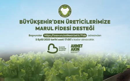 Balıkesir Büyükşehir’den Çiftçiye Yüzde 75 Destekli Marul Fidesi