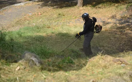 Giresun Belediyesi’nden Giresun Kalesi’nde Titiz Bakım