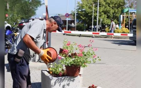 Yalova Belediyesi’nden Kent Estetiğine Renkli Dokunuş