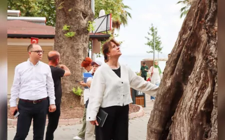 Yalova’da Anıt Ağaçlar Hem Doğaya Hem Kültürel Mirasımıza Sahip Çıkıyor