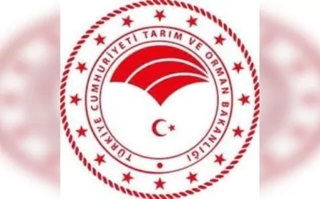 2025-2026 Av Sezonu 23 Ağustos’ta Başladı: Avlanma Kuralları Belirlendi