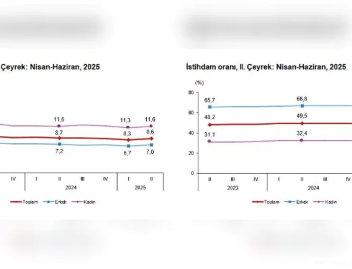 TÜİK: 2025 İkinci Çeyrek İşsizlik Oranı Yüzde 8,6’ya Yükseldi