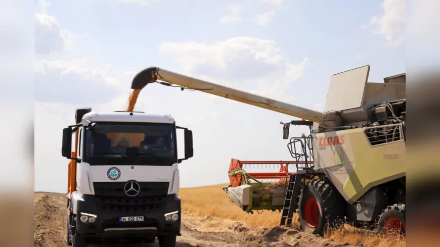 Eskişehir Büyükşehir’den Kuru Tarımla Çiftçiye ve Kent Lokantalarına Destek