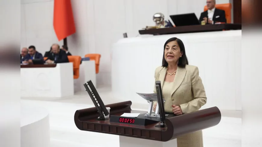 CHP’li Süllü’den Bakan Yumaklı’ya Çağrı: “Yaban Hayatı Satılık Değildir, İhale İptal Edilsin!”