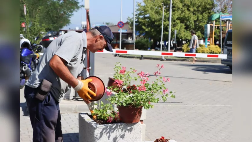 Yalova Belediyesi’nden Kent Estetiğine Renkli Dokunuş
