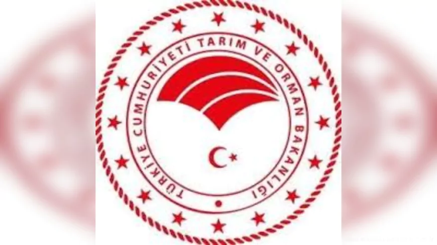 2025-2026 Av Sezonu 23 Ağustos’ta Başladı: Avlanma Kuralları Belirlendi