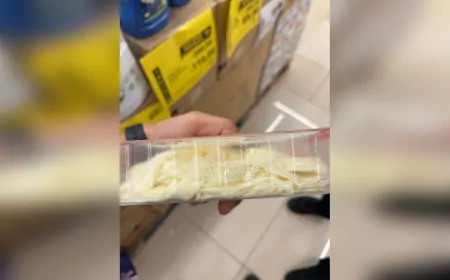 Zabıta Kapalı Peynir Kutusunda Sinek Ölüsü Tespit Etti