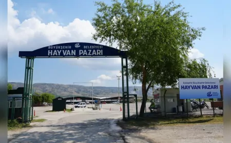Eskişehir Büyükşehir Belediyesi Hayvan Pazarı Yeniden Hizmete Açıldı