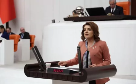 CHP’li Gülcan Kış: "4 milyon gencimizi kaderine terk ettiler, Bakanlık 270 gün sonra boş cevap verdi"