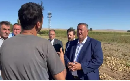 CHP Milletvekili Ömer Fethi Gürer: “Patates üreticisi maliyetin altında satış yapıyor, TMO alıma başlamalı”