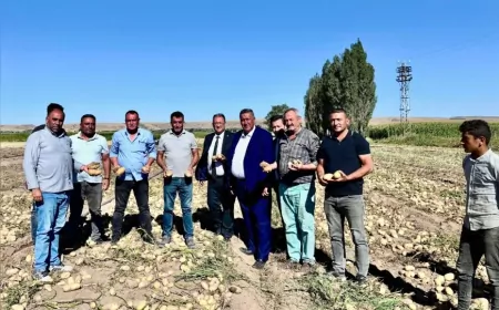 CHP Milletvekili Ömer Fethi Gürer: "Patates üreticisi maliyetin altında satış yapıyor, TMO devreye girmeli"