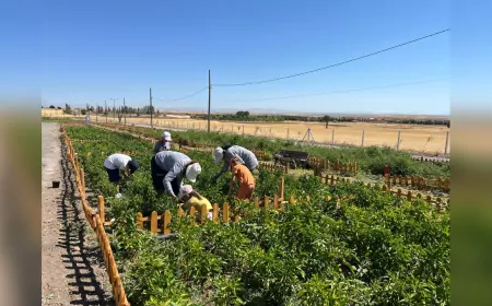Doğanın Kalbinde Bir Yaz Masalı: Taşlık Çiftlik Köy Doğa Yaz Okulu Sona Erdi