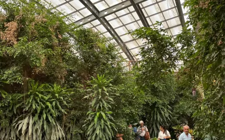 İzmir Büyükşehir’den Ödemişli Afetzedelere Moral Gezisi