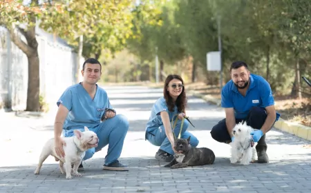İzmir’de El Konulan 20 Cins Köpek Işıkkent Bakımevi’nde Yeni Yuva Bekliyor