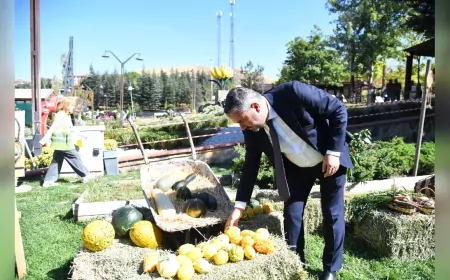 Pursaklar’da Doğallığın Adı: Yerli Tohum Hasadı