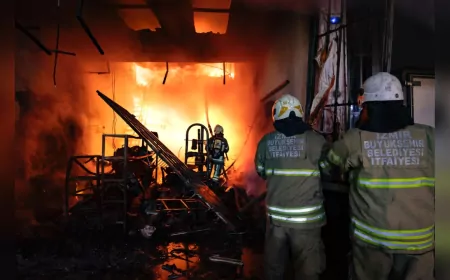 İzmir'de 8 Ayda 11 Binin Üzerinde Yangın: 28 Bin Hektar Alan Kül Oldu