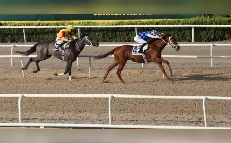 Bursa Büyükşehir Başkanlık Koşusunu Tejon Melero Kazandı