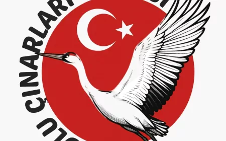 Anadolu Çınarları Partisi Sözcüsü Nergis İspir: "Kadın siyasette olmalı ve hep de olacaktır"