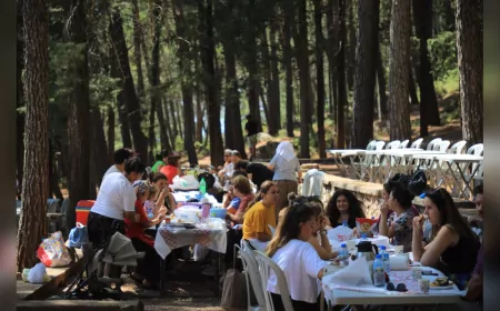 Kadın Yaşam Merkezleri Kursiyerleri Piknikte Buluştu: Dayanışma ve Üretim Güçleniyor