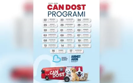 Balıkesir’de Can Dostlara Mobil Destek Devam Ediyor