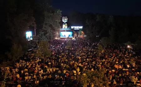 Ormanya’da Gece Sinemasıyla Kitap Fuarı Ruhu Canlanıyor