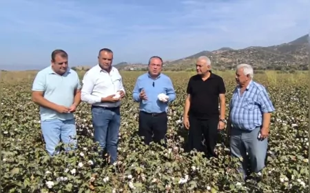 CHP’li Karakoz’dan İktidara Pamuk Çağrısı: “Fiyat En Az 50 Lira Olmalı, Destekler Artırılmalı”