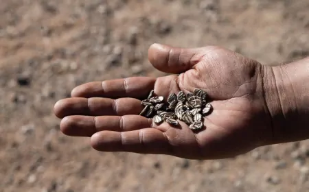 Minik eller toprağa değdi: İzmir’de çocuklar doğayla buluştu