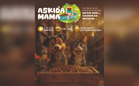 Yalova Belediyesi’nden sokak hayvanları için anlamlı etkinlik: “Askıda Mama”