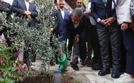 “Zeytinimizi, ormanımızı savunuyoruz: Kötülükle savaşıyoruz; iyiler kazanacak!”