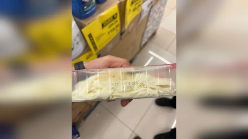 Zabıta Kapalı Peynir Kutusunda Sinek Ölüsü Tespit Etti