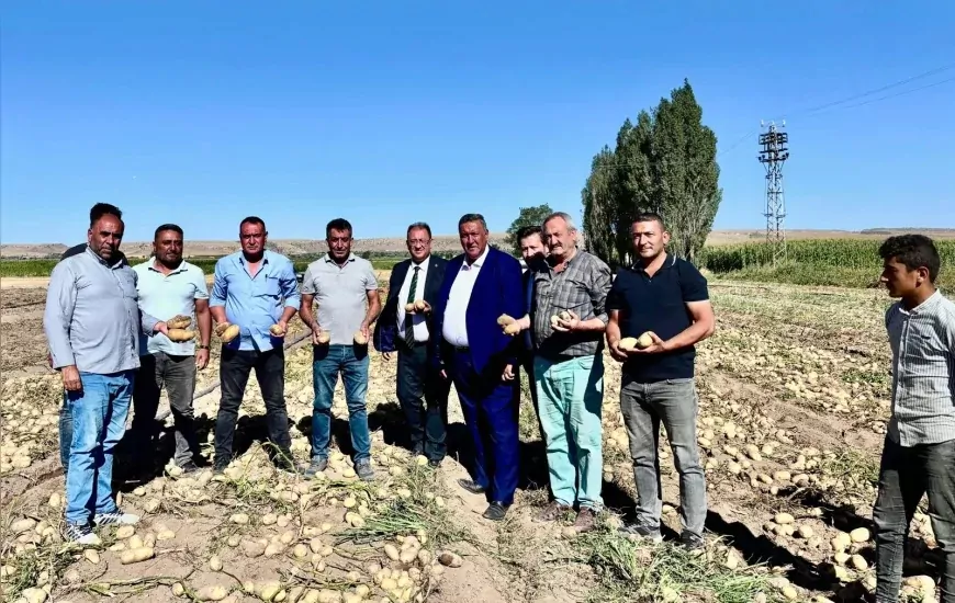 CHP Milletvekili Ömer Fethi Gürer: "Patates üreticisi maliyetin altında satış yapıyor, TMO devreye girmeli"