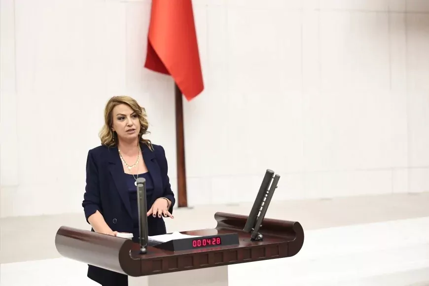 CHP Milletvekili Nermin Yıldırım Kara: "Çocuklarımız okula aç gidiyorsa öncelik doğum oranı değil, güvenlik ve geçimdir"