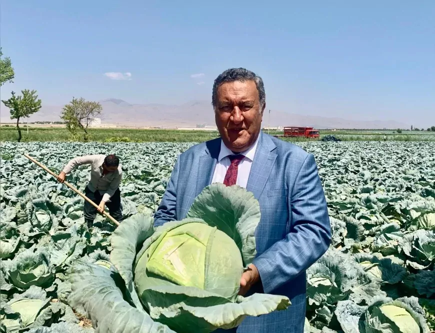 CHP Niğde Milletvekili Ömer Fethi Gürer: "Üretici karını sınırlı tutuyor, sorun raftaki fiyat farkı"