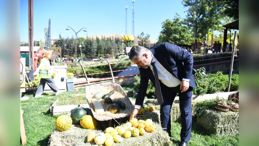 Pursaklar’da Doğallığın Adı: Yerli Tohum Hasadı