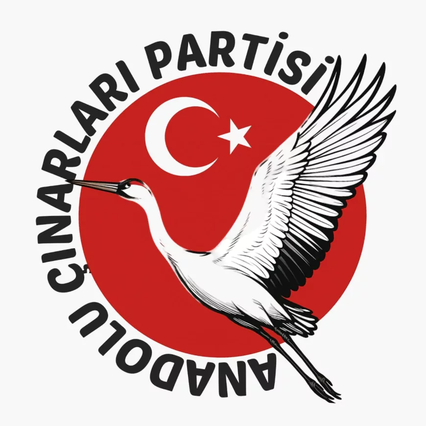 Anadolu Çınarları Partisi Sözcüsü Nergis İspir: "Kadın siyasette olmalı ve hep de olacaktır"