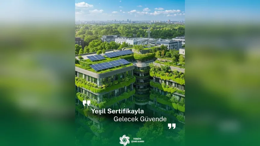 Yeşil Binalar, Yeşil Geleceğin Anahtarı: Türkiye Çevre Ajansı’ndan Sürdürülebilir Adım