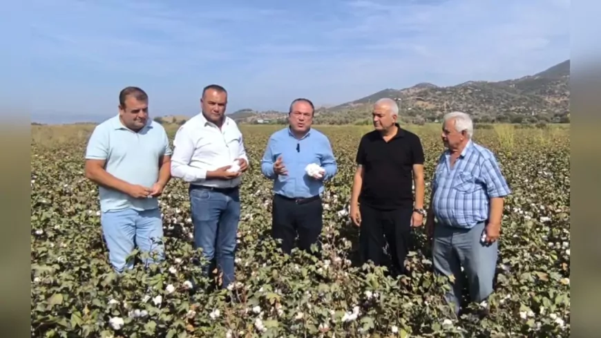 CHP’li Karakoz’dan İktidara Pamuk Çağrısı: “Fiyat En Az 50 Lira Olmalı, Destekler Artırılmalı”