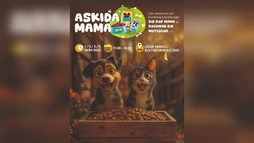 Yalova Belediyesi’nden sokak hayvanları için anlamlı etkinlik: “Askıda Mama”