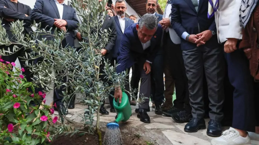 “Zeytinimizi, ormanımızı savunuyoruz: Kötülükle savaşıyoruz; iyiler kazanacak!”