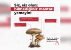 Tarım ve Orman Bakanlığı Uyardı: Bilinçsizce Toplanan Mantarlar Ölümcül Olabilir