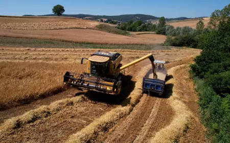 Büyükşehir’den Çiftçiye Yüzde 75 Hibeli Tohum Desteği Başladı