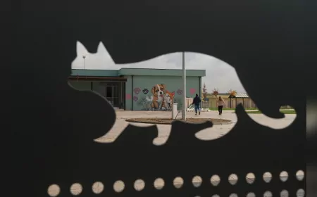 Doğal Yaşam Kampüsü, Grafiti Sanatıyla Renkleniyor