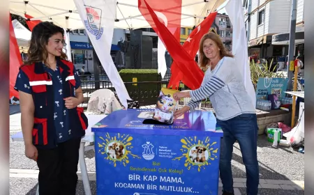 Yalova Belediyesi’nden Sokak Hayvanları İçin “Askıda Mama” Dayanışması