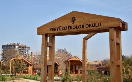 Yeryüzü Ekoloji Okulu’nda Ekim Ayı Atölyeleri Başlıyor