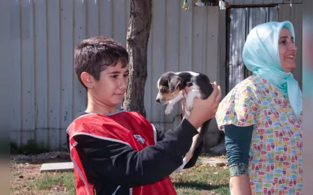 Yalovalı Öğrencilerden Sokak Hayvanlarına Destek: Sertifikalarını Aldılar