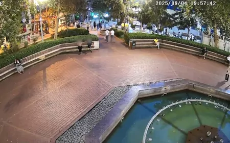 Yalova’da Yere İzmarit Atanlara 831 TL Ceza