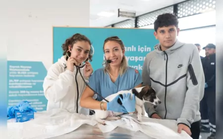 “Sahipsiz Hayvanlara Kötü Muamele Son Bulsun”