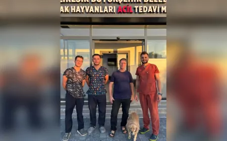 Balıkesir’de Bir İlk: Gofret Hayata Döndü, Yeni Yuvasına Kavuştu